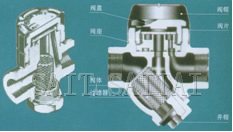 Y型式/北京式(圆盘式)热动力蒸汽疏水阀总装图